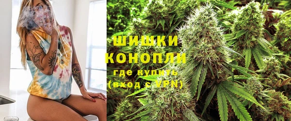 ECSTASY Алзамай